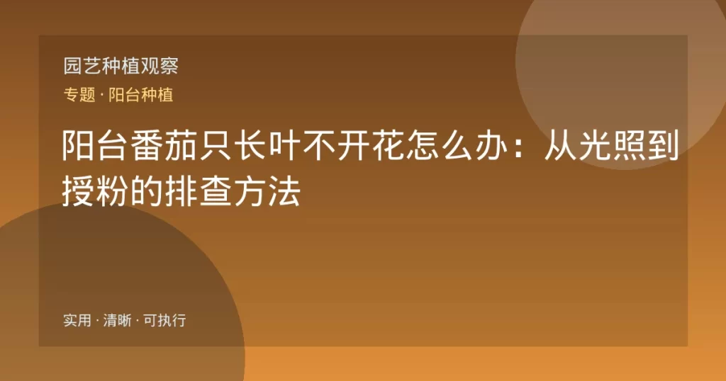 阳台番茄只长叶不开花怎么办：从光照到授粉的排查方法