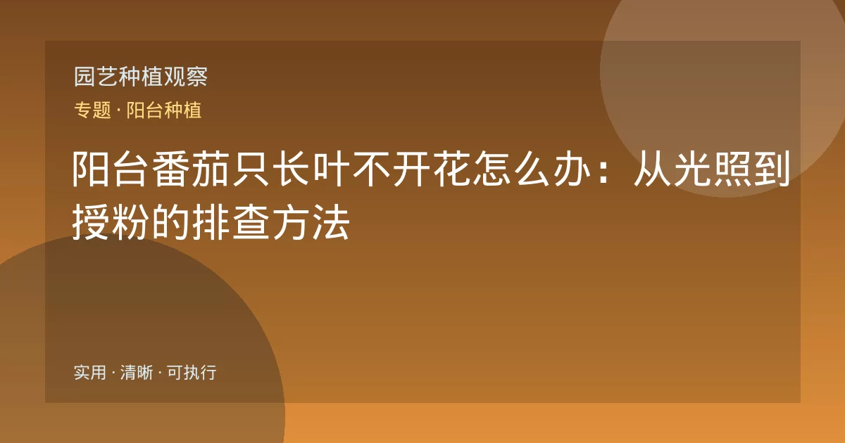 阳台番茄只长叶不开花怎么办:从光照到授粉的排查方法
