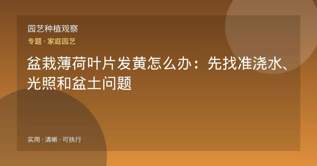 盆栽薄荷叶片发黄怎么办：先找准浇水、光照和盆土问题