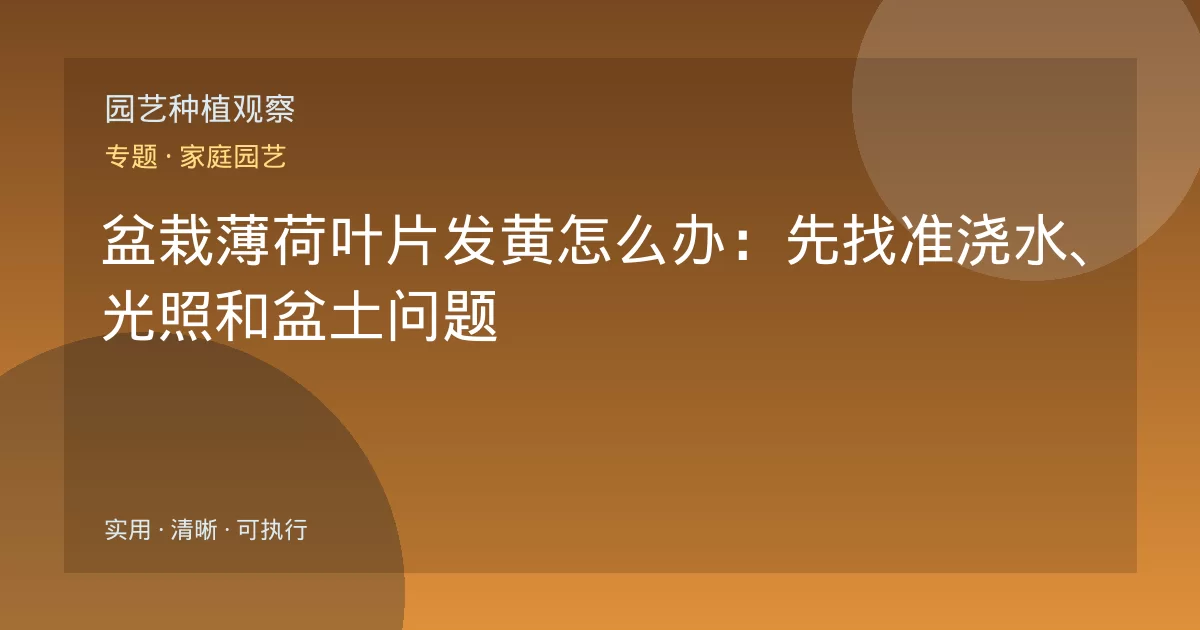盆栽薄荷叶片发黄怎么办:先找准浇水、光照和盆土问题